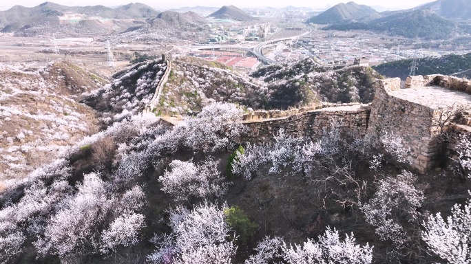 北京怀柔河防口长城花海