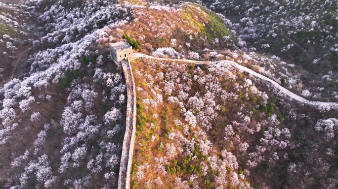 北京怀柔河防口长城花海