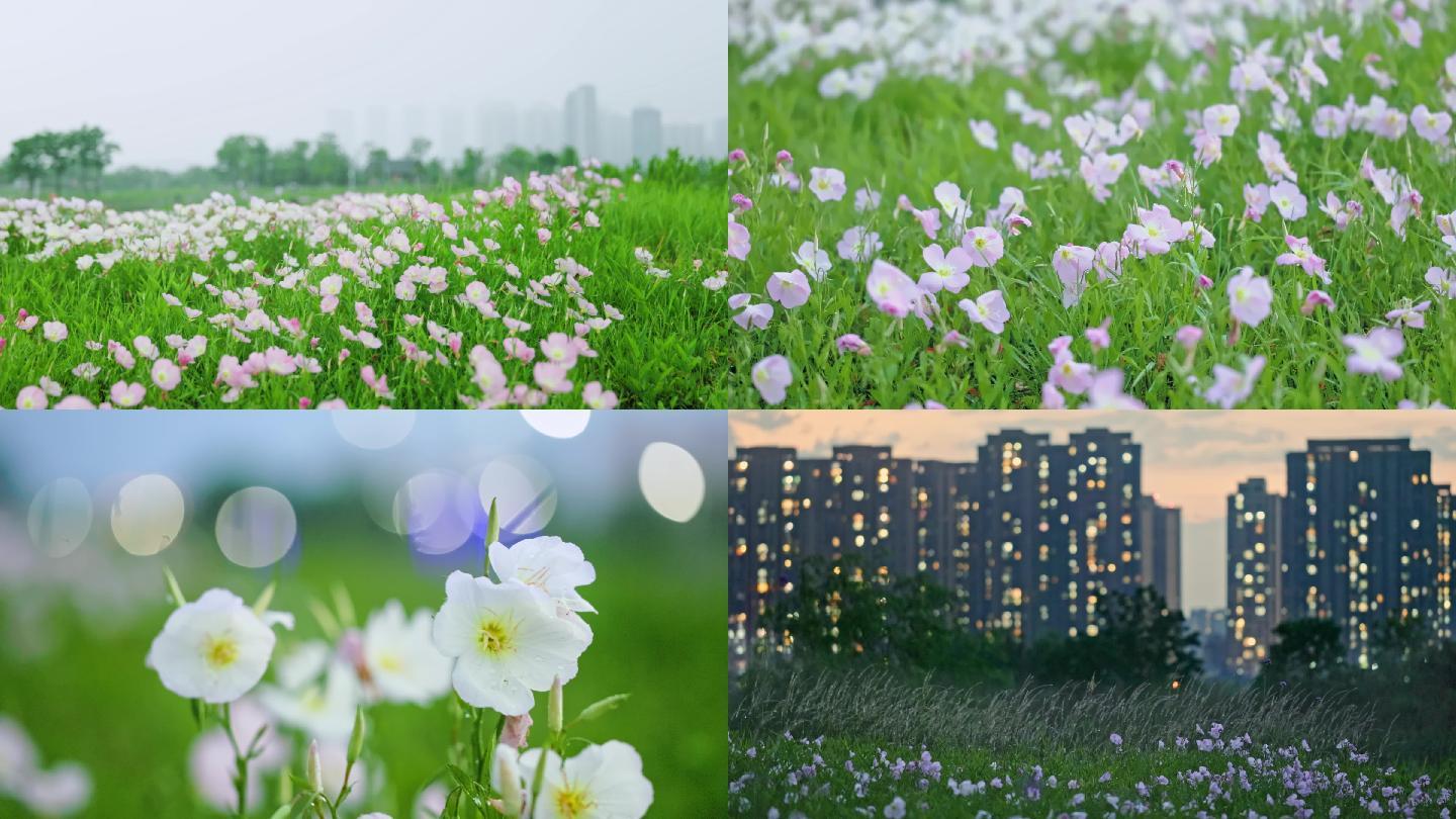 极端天气闪电雷鸣暴雨雨过天晴