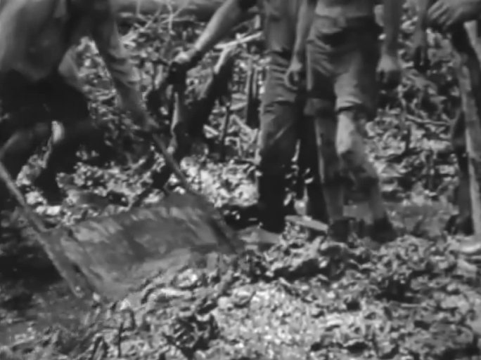 热带雨林盟军伤员 热带传染病