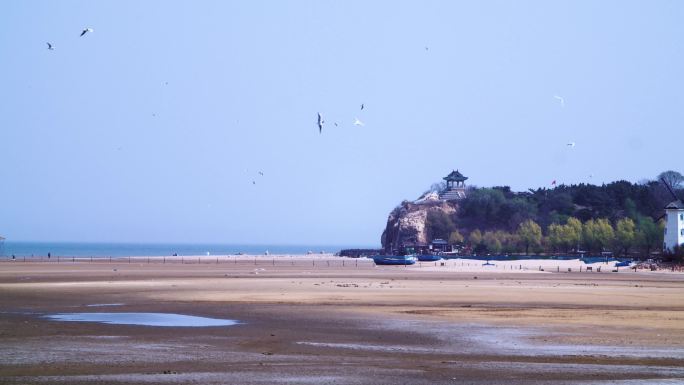 北戴河观鸟湿地鸽子窝公园鹰角石