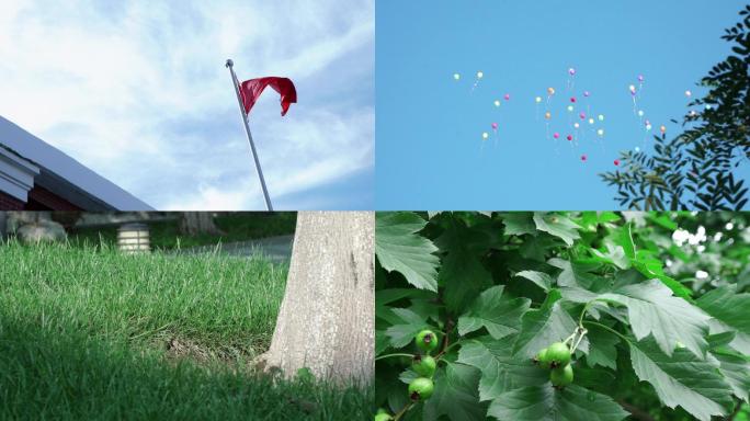一组空镜 意境 气球 红旗 绿叶 草地