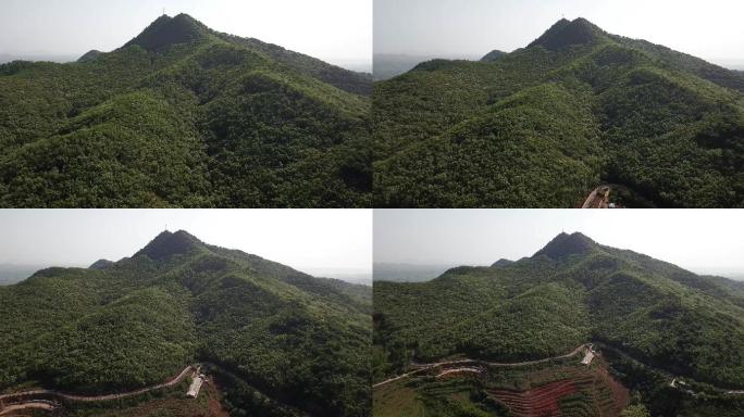 郁郁葱葱的青山-嶕峣山-庙山