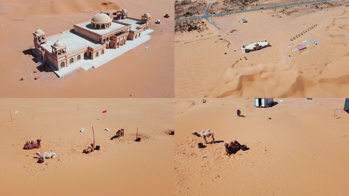 航拍 沙漠 骆驼 沙漠建筑