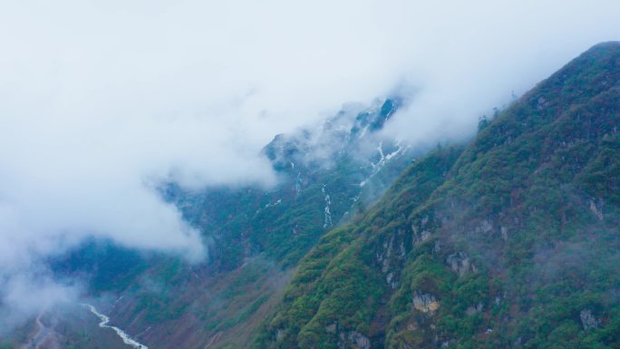 西藏原始森林 高山云雾云海-04