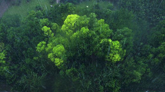 城市下雨天暴雨气候大雨雨天磅礴大雨暴风雨