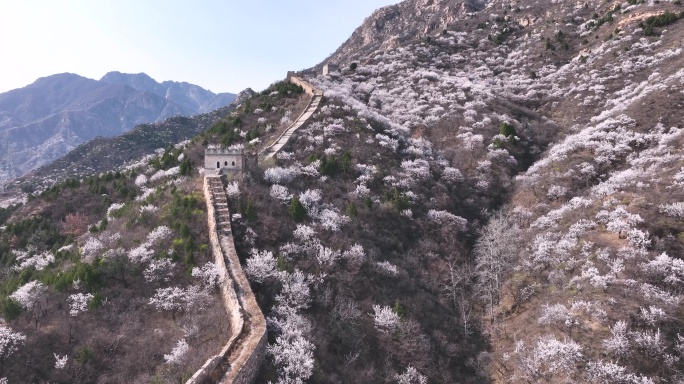 北京怀柔河防口长城花海