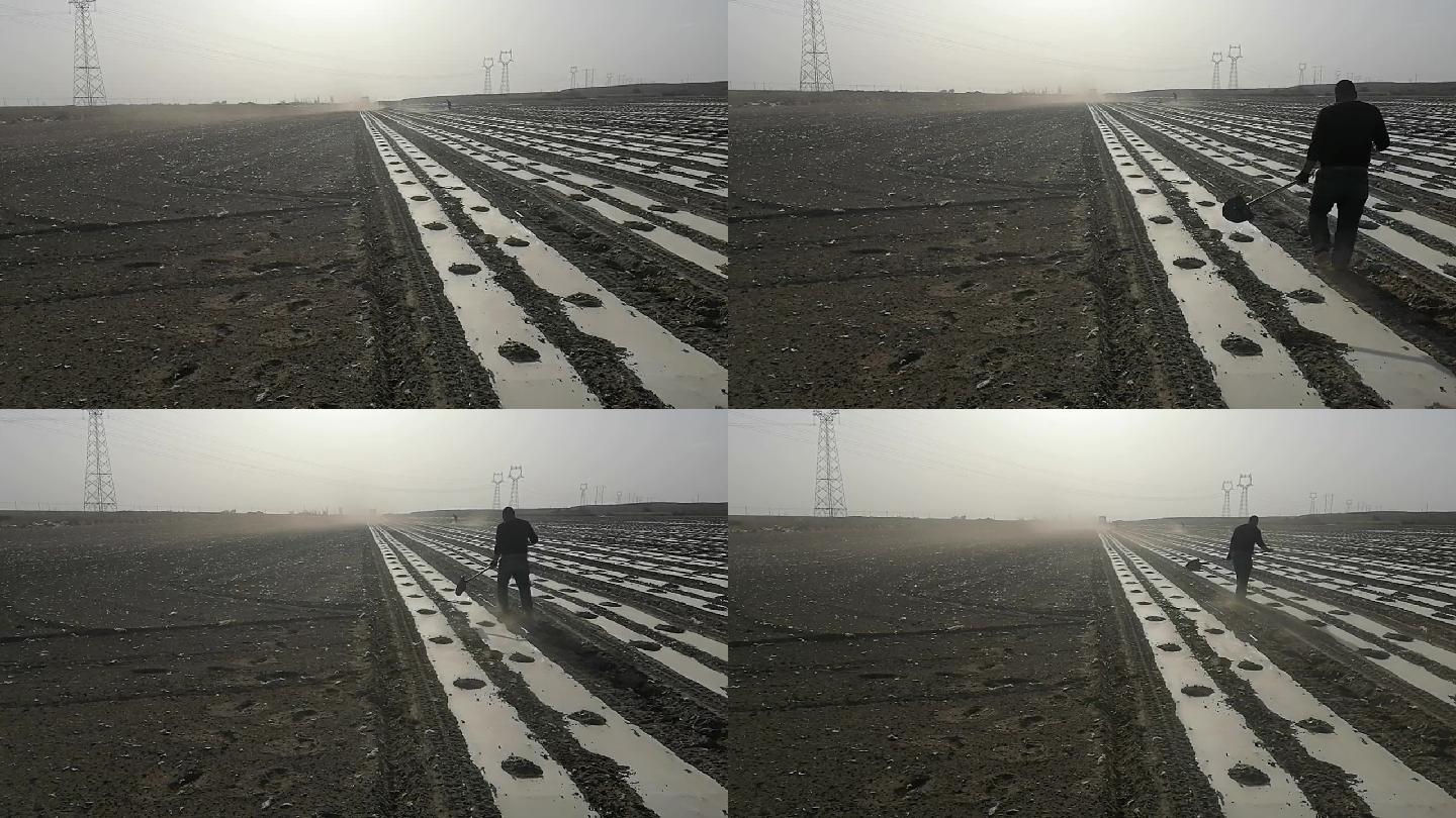 新疆哈密：大风难阻棉农抢播棉花