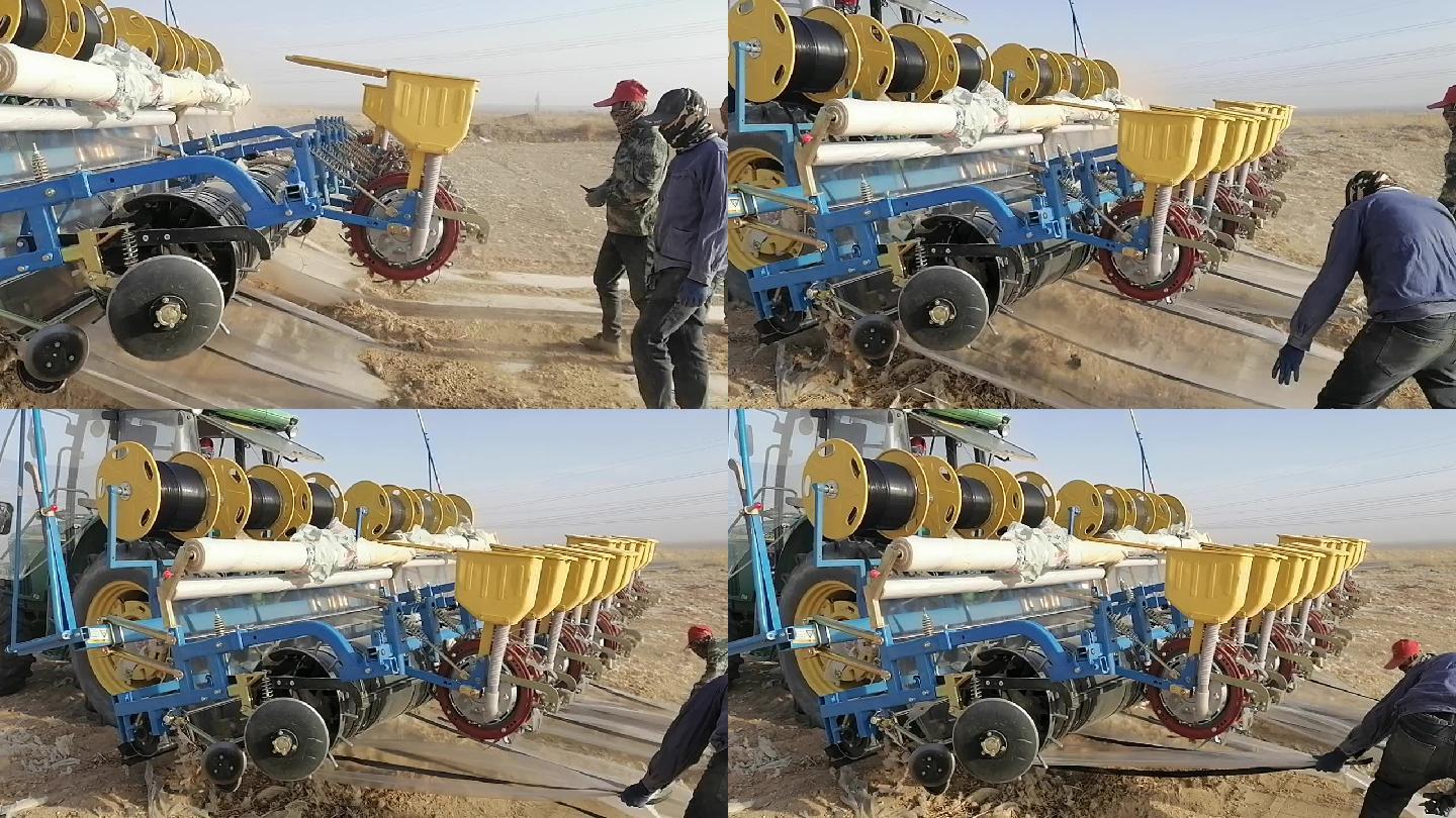 新疆哈密：大风难阻棉农抢播棉花