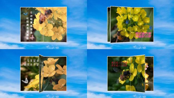 会声会影x8精品翻页电子相册模板