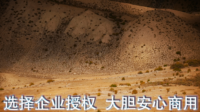 草地山坡视频金秋季节藏区牧场黄色草地山坡