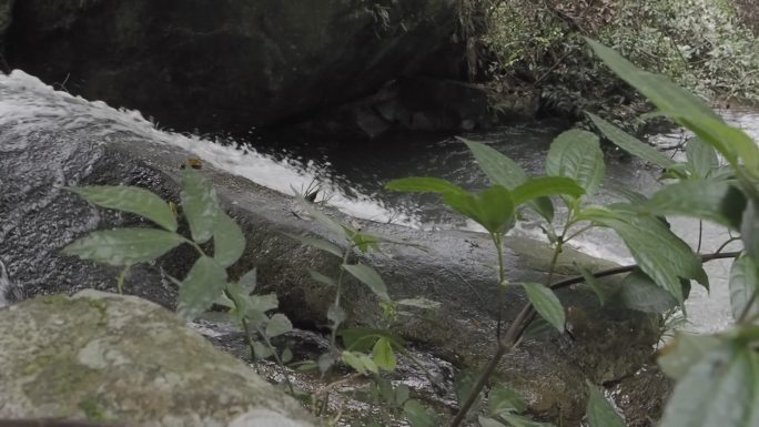 水流升格慢镜