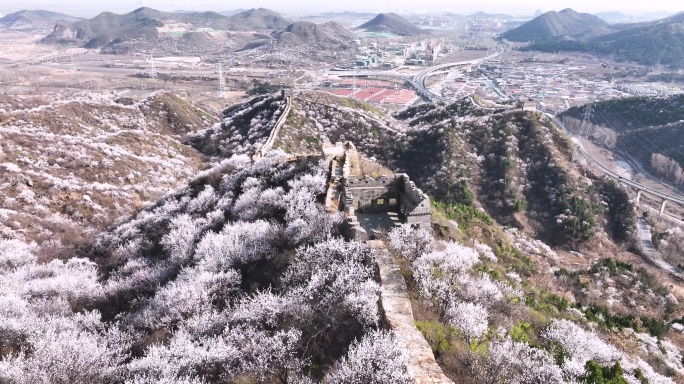 北京怀柔河防口长城花海