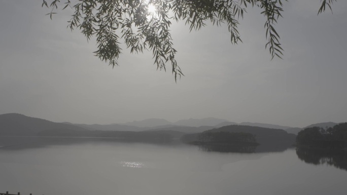 博山水库 绿水青山 河湖 生态