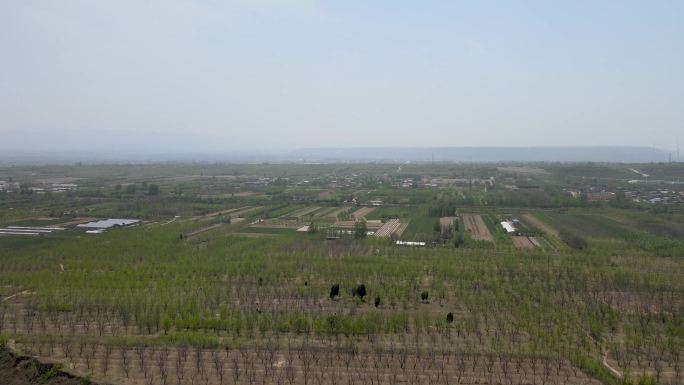 中国乡村振兴脱贫农业 田地C