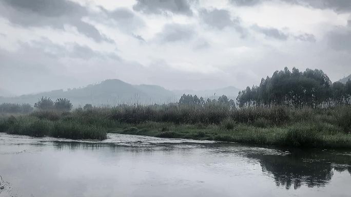 烟雨朦胧伤感的小溪