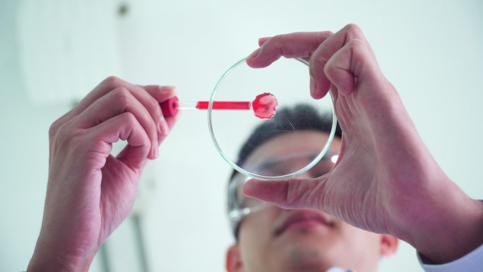 低角度视角：亚裔科学家、生物学家、医生、研究员通过滴管将稀释的血液滴入生物实验室的皮氏培养皿，进行科