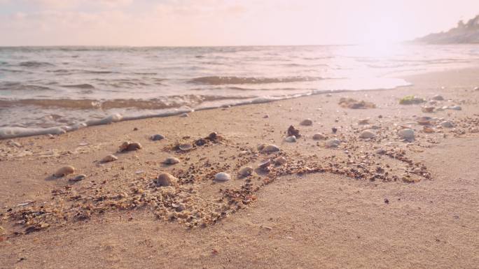 海滩上的日落沙滩贝壳