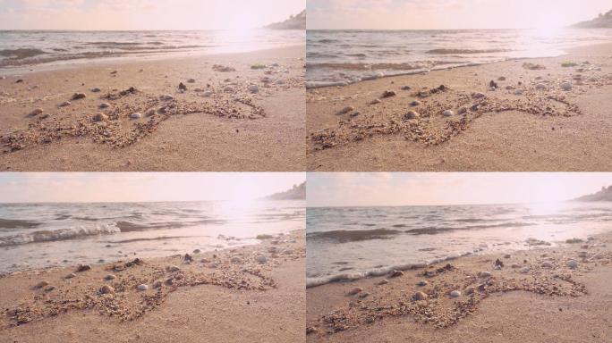 海滩上的日落沙滩贝壳