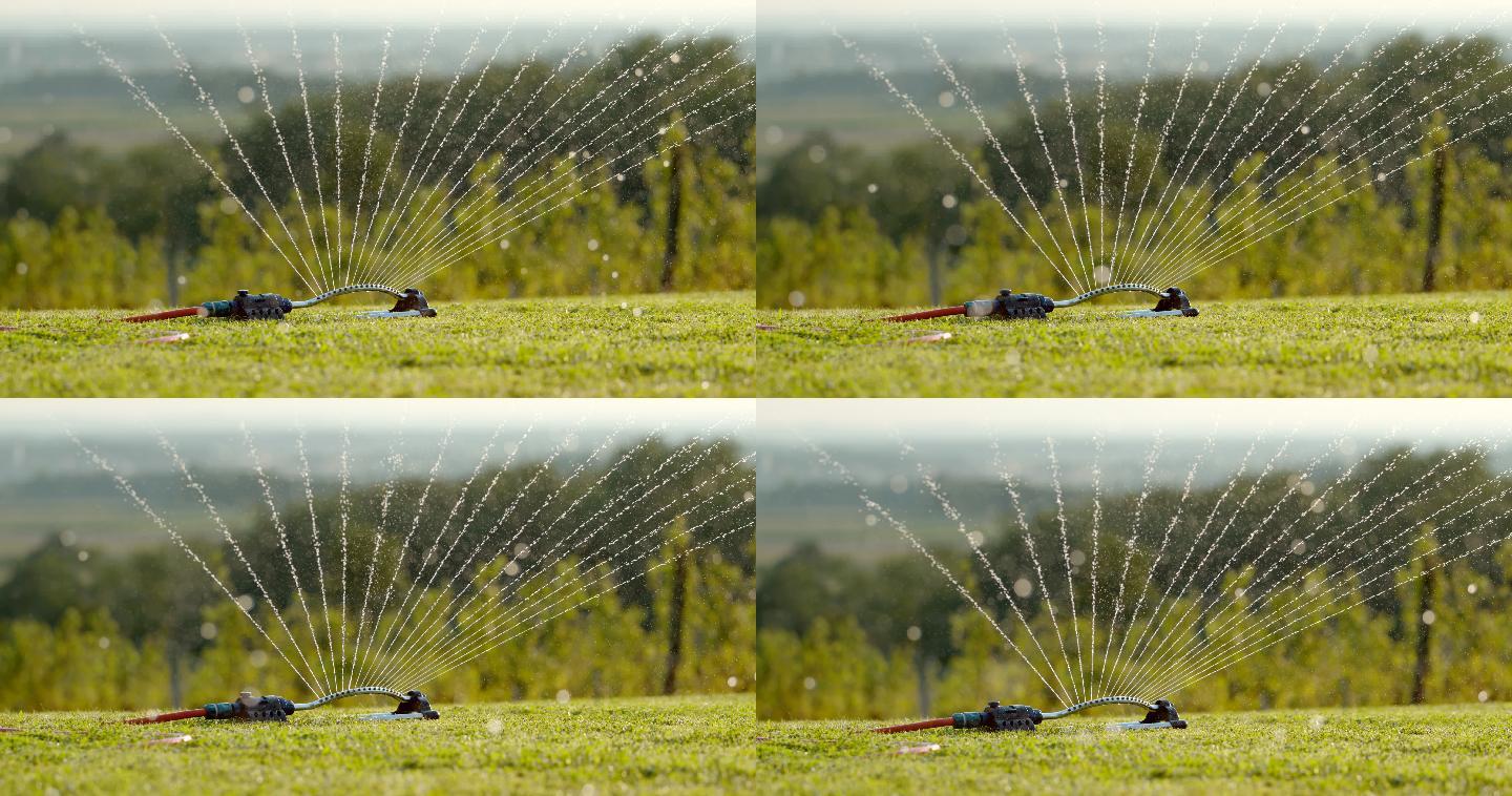 超级SLO-MO洒水器浇灌草坪