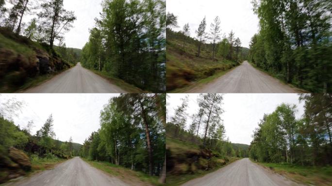 四轮驱动越野车视角：挪威森林