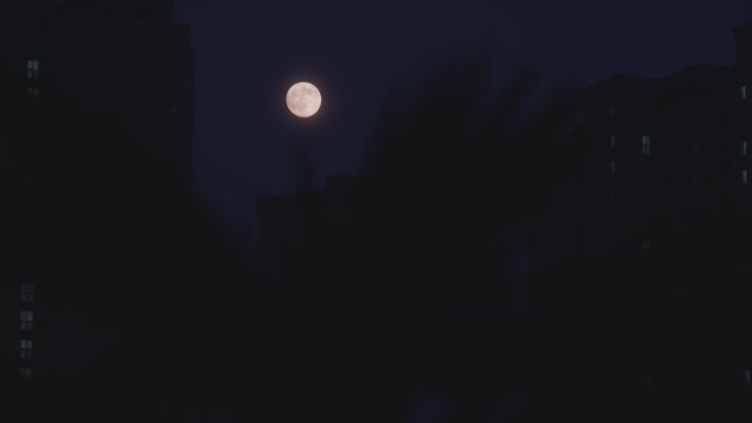 夜晚 月亮空镜头