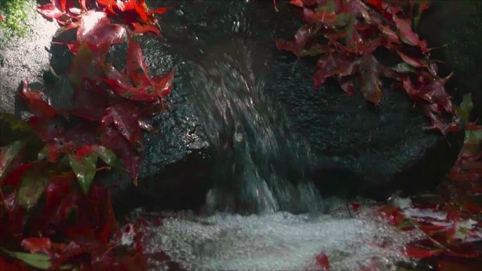 秋天，在森林深处的一条小溪中，倾斜的枫叶漂浮在水面上。森林中的小瀑布，岩石上有枫叶。