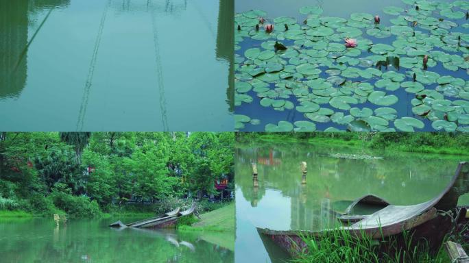 湖水水草 睡莲野鸭