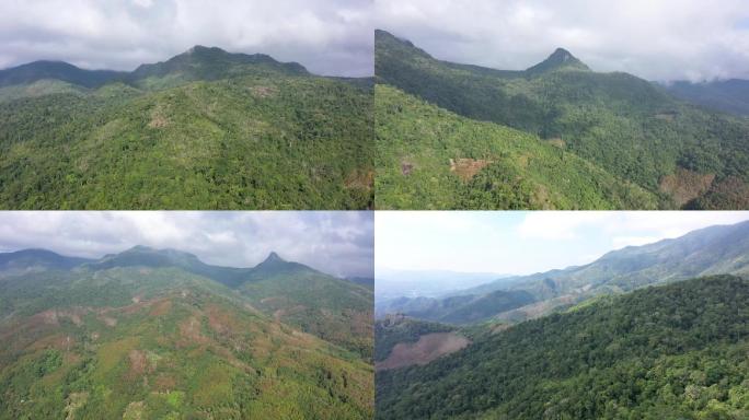 航拍海南五指山 森林 橡胶树 山脉