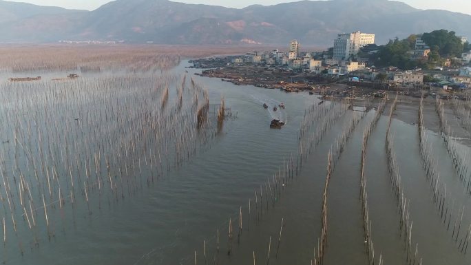 福建霞浦滩涂2