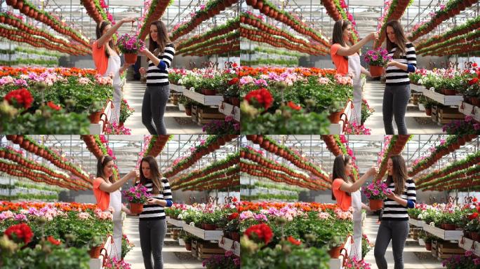 温室里的女工向顾客展示鲜花