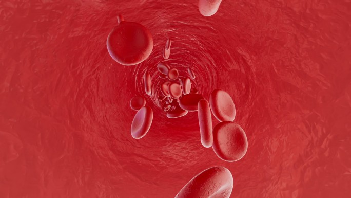血管内部血小板红细胞流淌