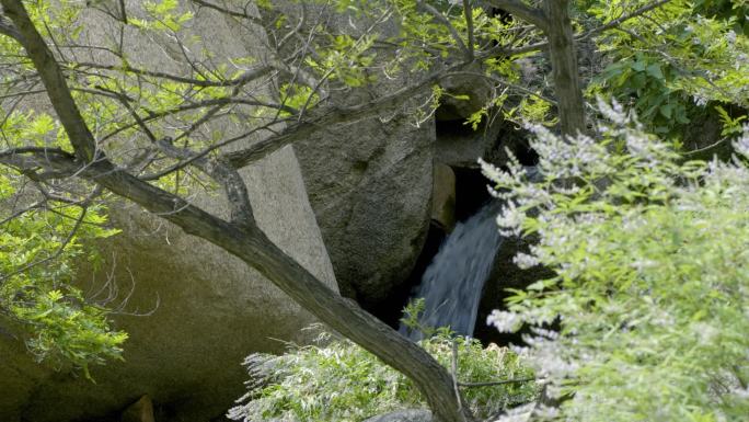 流水瀑布山区自然生态矿泉水绿水青山鸭子