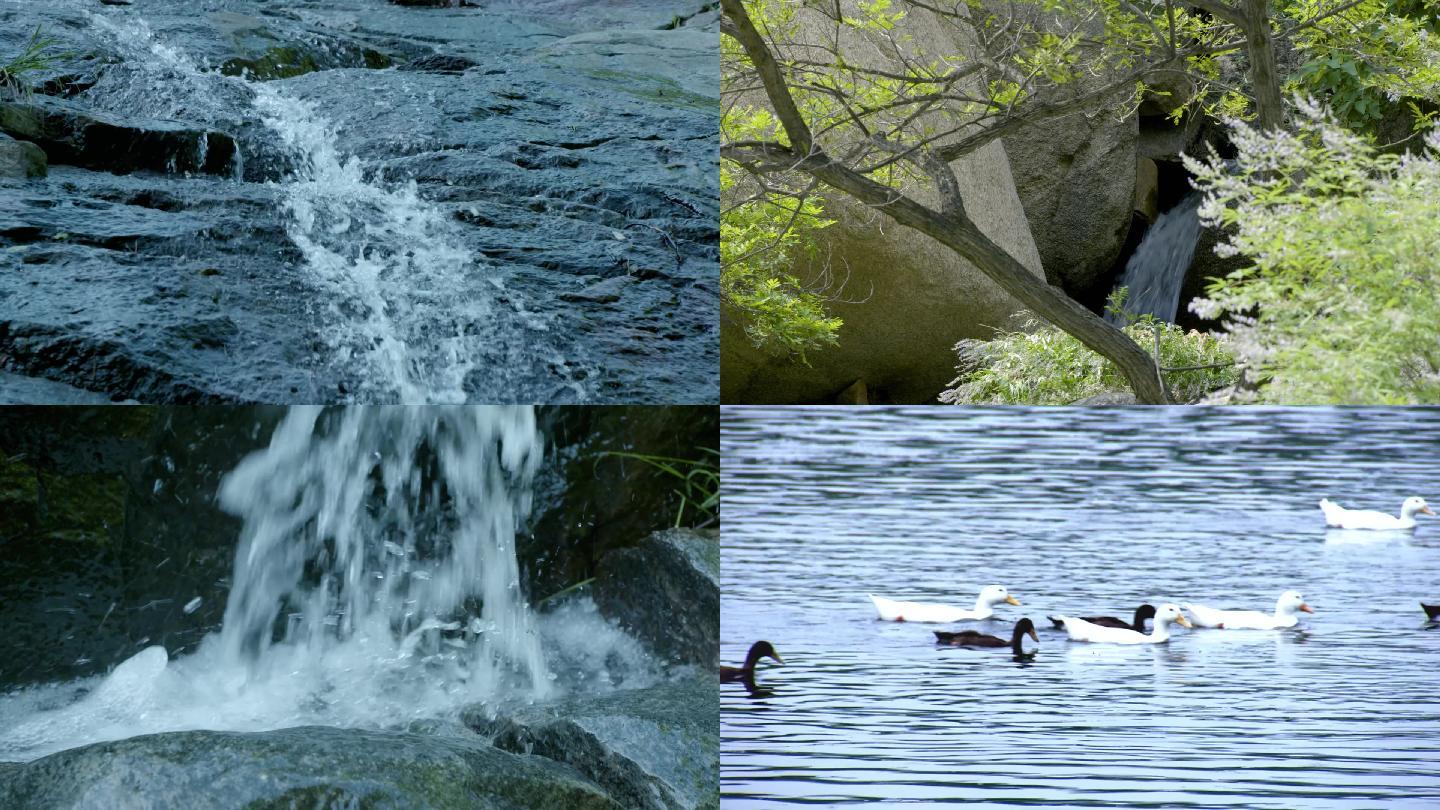 流水瀑布山区自然生态矿泉水绿水青山鸭子