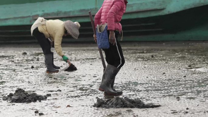 海滩行走赶海