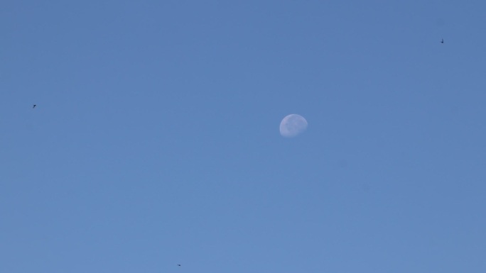 干净蓝天月亮空镜