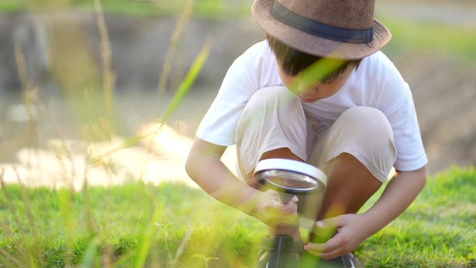 孩子们在农场用放大镜在户外学习和玩耍。概念自学习与环境