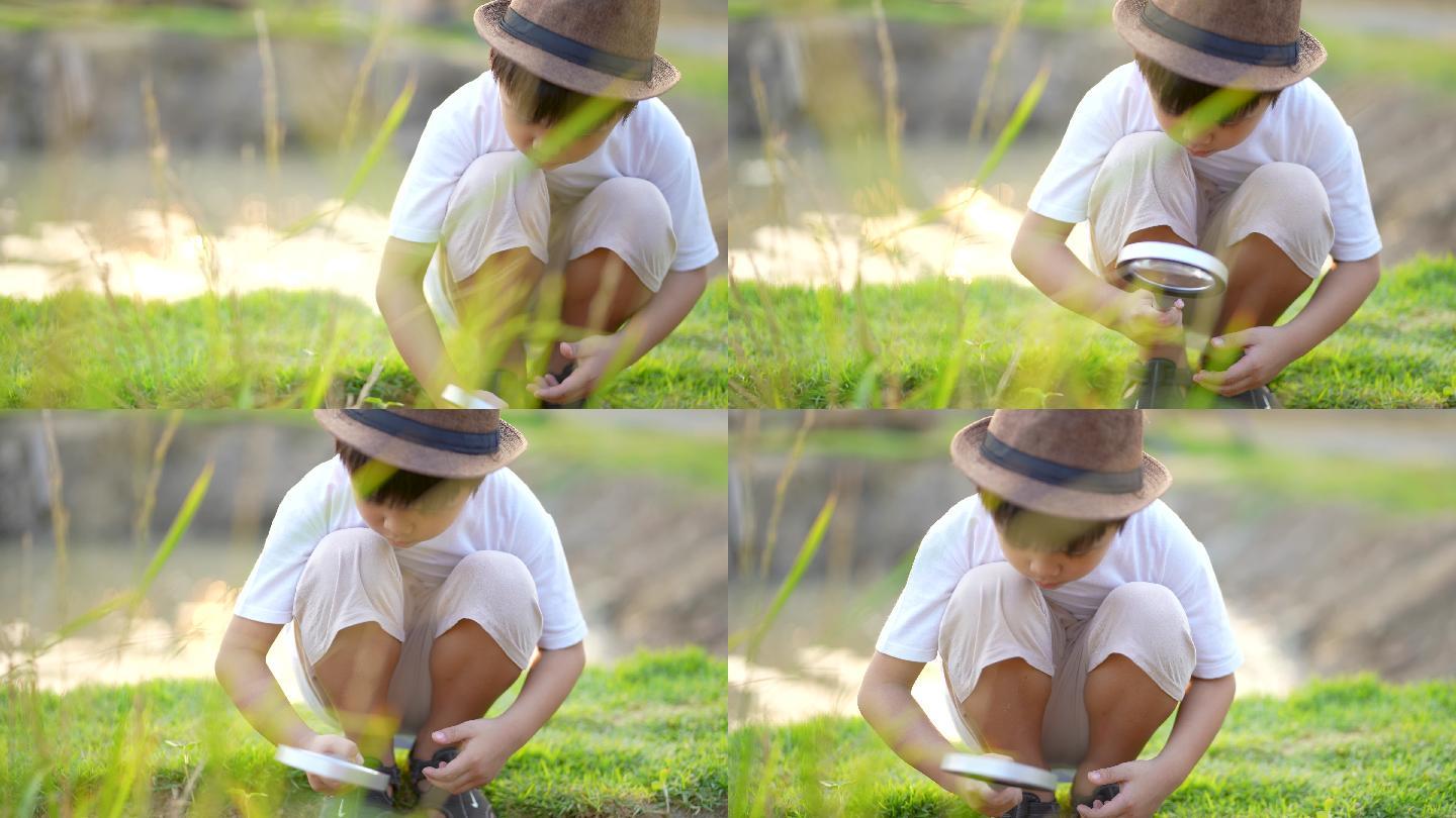 孩子们在农场用放大镜在户外学习和玩耍。概念自学习与环境