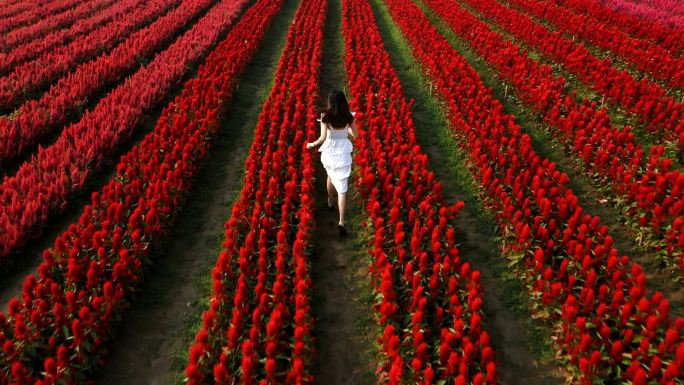 享受自然之美女性花丛奔跑花海红色花海