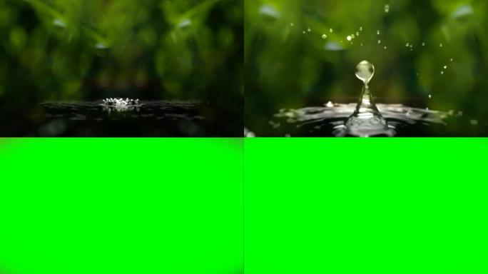 水滴露珠绿色视频转场（通道）