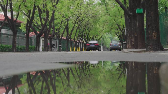 雨后北京街道1