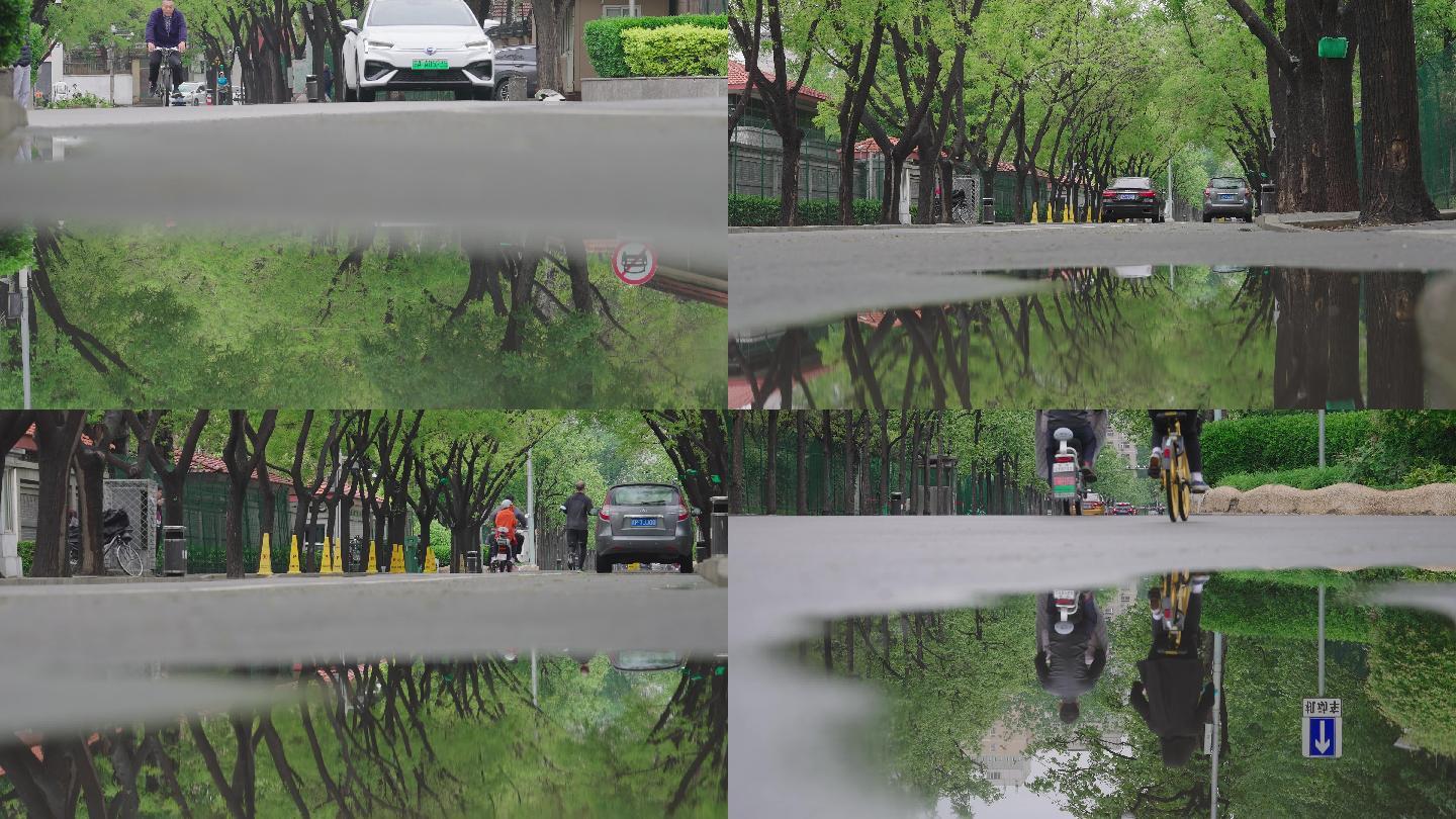 雨后北京街道1