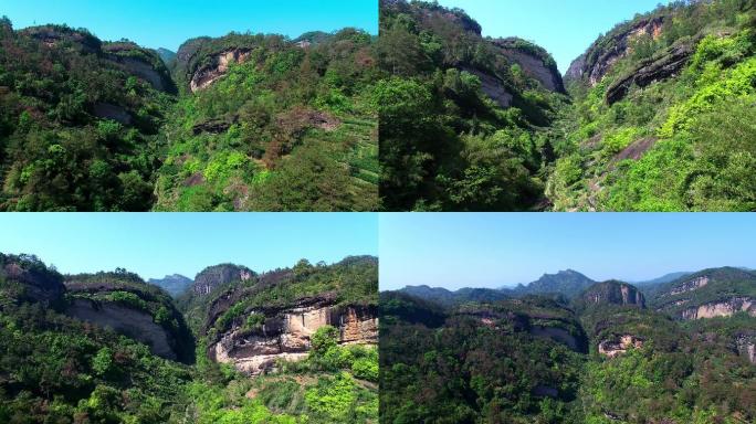 航拍 武夷山 景区 正岩山场 牛栏坑肉桂