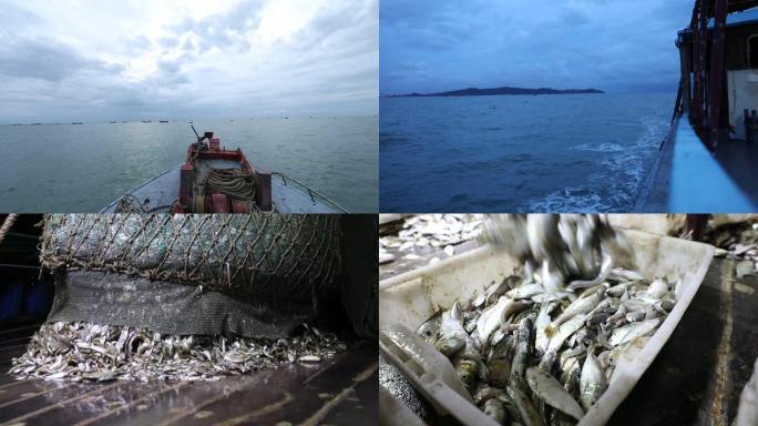 渔民出海捕鱼拉网收获全纪录