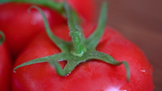 新鲜番茄养生膳食健康运动健身食补食疗营养