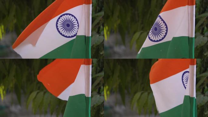 印度国旗旗帜旗子