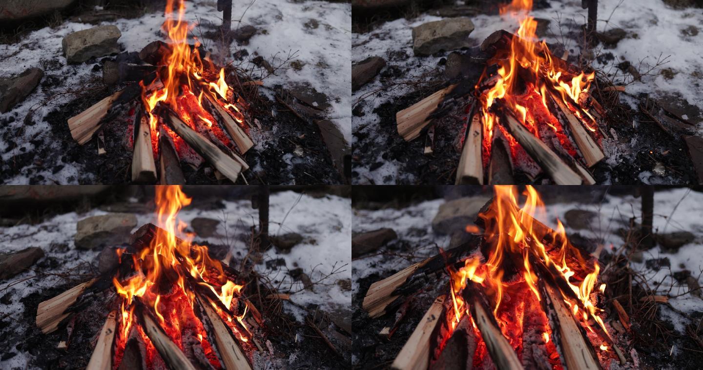 篝火的慢镜头升格野外用火