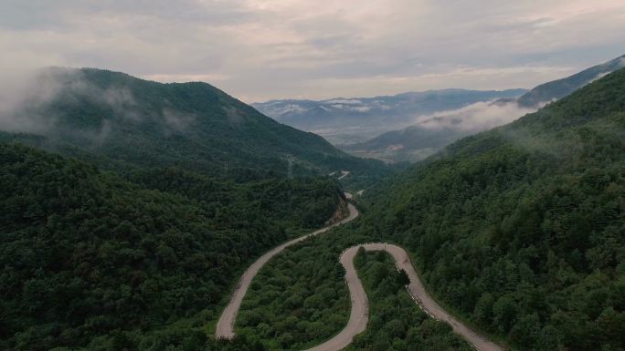 穿越森林的公路旅行鸟瞰图