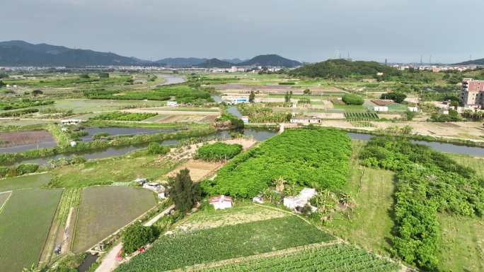 大片良田即将变成房地产