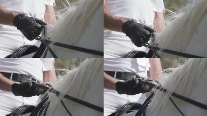 双手戴着手套，牵着白马的缰绳
